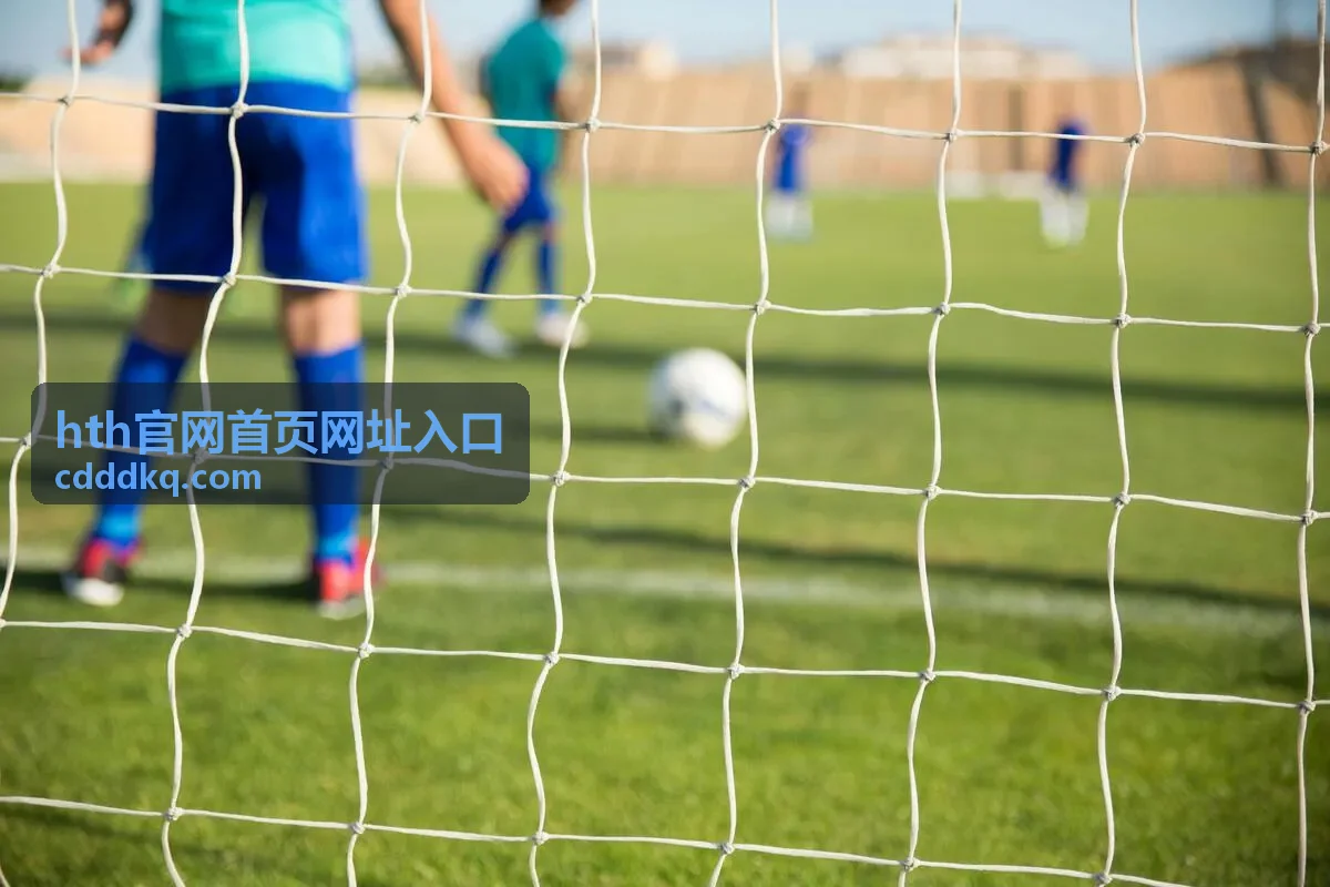 hth官网首页网址入口公告与状态说明页面示意