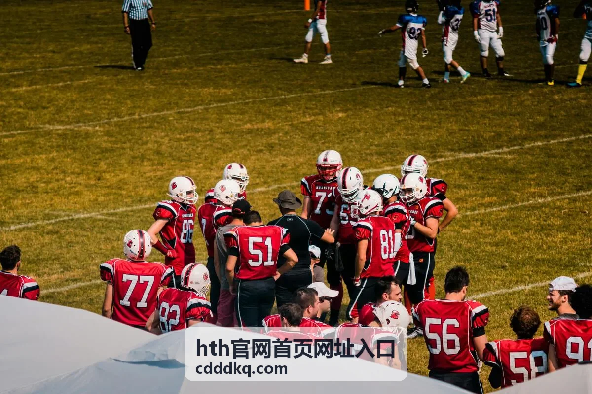 hth官网首页网址入口最新公告查看示意图